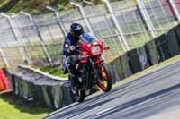 Oulton-Park-20th-March-2020;PJ-Motorsport-Photography-2020;anglesey;brands-hatch;cadwell-park;croft;donington-park;enduro-digital-images;event-digital-images;eventdigitalimages;mallory;no-limits;oulton-park;peter-wileman-photography;racing-digital-images;silverstone;snetterton;trackday-digital-images;trackday-photos;vmcc-banbury-run;welsh-2-day-enduro
